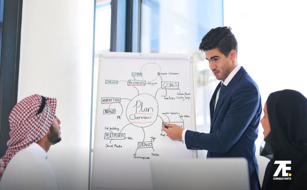 UAE Startup roadmap support by 7E Consultants team